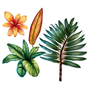 Hand Drawn Tropical Plants PNG Upy3 PNG
