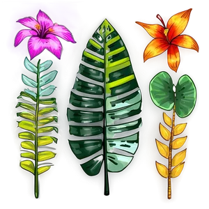 Hand Drawn Tropical Plants PNG Ykr79
