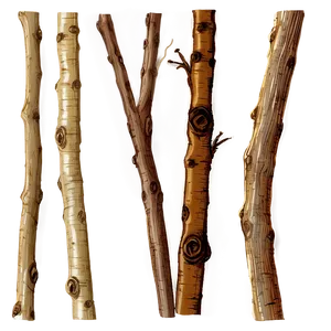 Hand-drawn Twig PNG 06132024