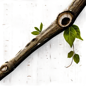 Hand-drawn Twig PNG 37 PNG