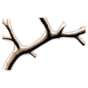 Hand-drawn Twig PNG Odb