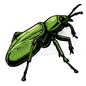 Hand-drawn Weevil Png Ggv PNG image