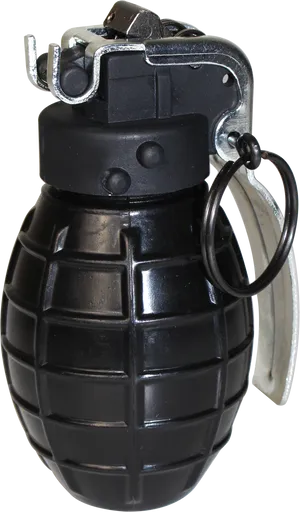 Hand Grenade Isolatedon Transparent Background PNG