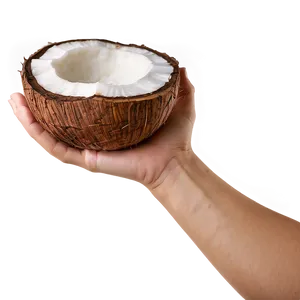 Hand Holding Coconut PNG Oiq71 PNG