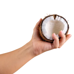 Hand Holding Coconut PNG Wlc60 PNG
