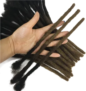 Hand Holding Dreadlocks PNG image