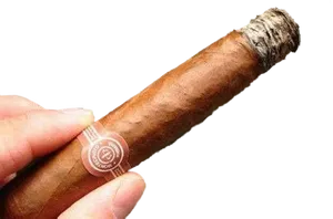 Hand Holding Lit Cigar PNG image