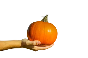 Hand Holding Orange Pumpkin Black Background PNG image