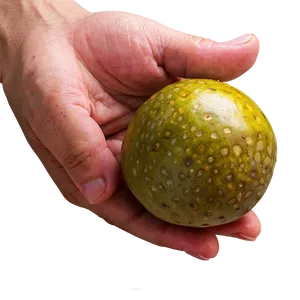 Hand Holding Passion Fruit PNG 06252024 PNG
