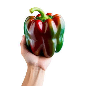Hand Holding Pepper Png Qah PNG image