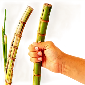 Hand Holding Sugarcane Stick PNG Hxn PNG