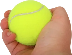 Hand Holding Tennis Ball_ Closeup.png PNG image