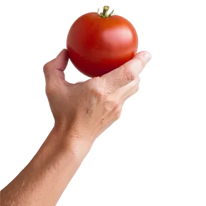 Hand Holding Tomato PNG Avl PNG