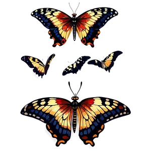 Hand Painted Butterfly PNG 06262024 PNG