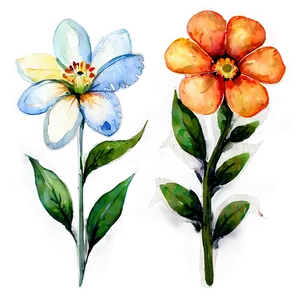 Hand Painted Flowers Watercolor PNG 05252024