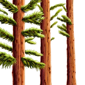 Hand-painted Spruce Tree PNG 06132024