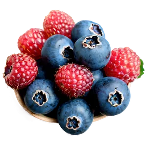 Hand-picked Berries Png 48 PNG image