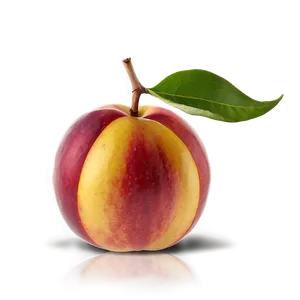 Hand-picked Nectarine Png Qrv PNG image