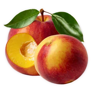 Hand-picked Nectarine Png Vgx PNG image