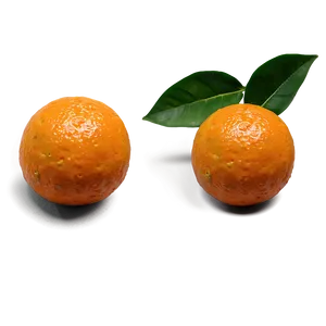 Hand-picked Oranges PNG Vty62 PNG