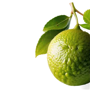 Hand-squeezed Lime Juice PNG 05242024 PNG