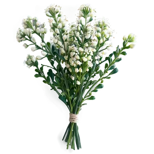 Hand-tied Baby's Breath Bunch PNG 06212024 PNG