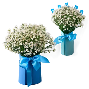 Hand-tied Baby's Breath Bunch PNG Any PNG