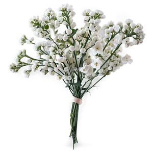 Hand-tied Baby's Breath Bunch PNG Vrd PNG