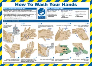 Hand Washing Procedure Infographic PNG