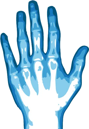 Hand Xray Illustration PNG image