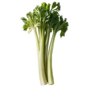 Handful Of Celery PNG Twi17 PNG