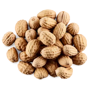 Handful Of Peanuts PNG 16