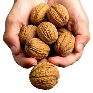 Handful Of Walnuts Png 64 PNG image