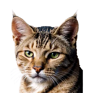 Handmade Cat Ear PNG Rst66 PNG