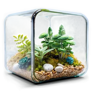 Handmade Glass Terrarium Box Png 06282024 PNG image