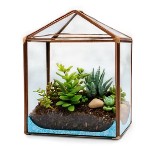 Handmade Glass Terrarium Box Png Tjl PNG image