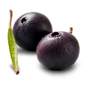 Handpicked Acai Fruit Png 97 PNG image