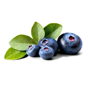 Handpicked Blueberries Png 05242024 PNG image