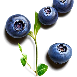 Handpicked Blueberries Png 05242024 PNG image