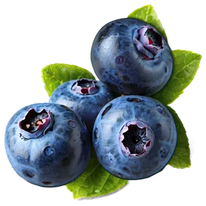 Handpicked Blueberries Png Ony PNG image
