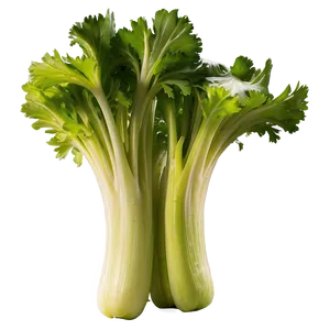 Handpicked Celery Png Bfr51 PNG image