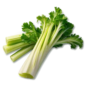 Handpicked Celery PNG Vic12
