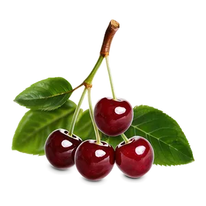 Handpicked Cherries Png 38 PNG image