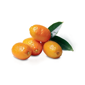 Handpicked Kumquat Png Mpf PNG image