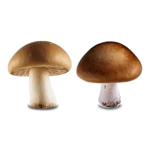 Handpicked Mushrooms PNG Evp