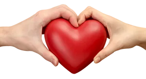 Hands Holding Red Heart PNG image
