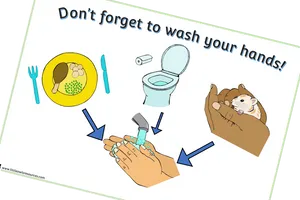 Handwashing Reminder Poster PNG image
