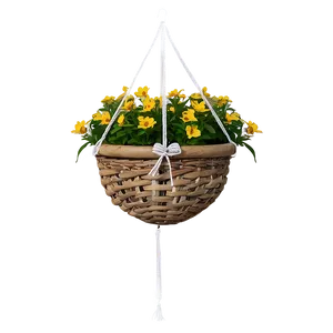 Hanging Basket PNG Grr