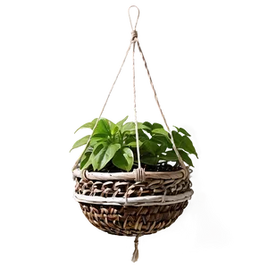 Hanging Basket Png Tph50 PNG image