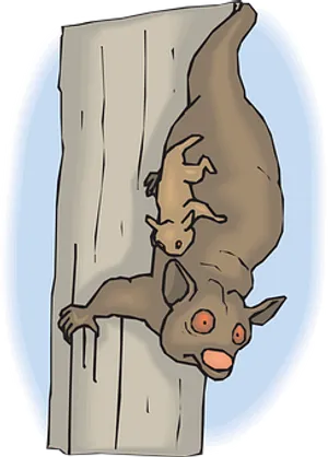 Hanging Bats Cartoon